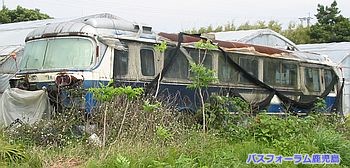 おしゃか後ろ姿