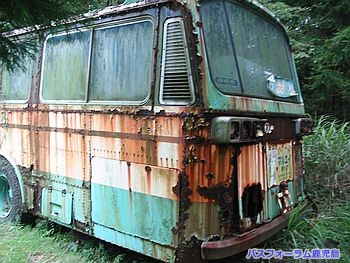 おしゃか後ろ姿