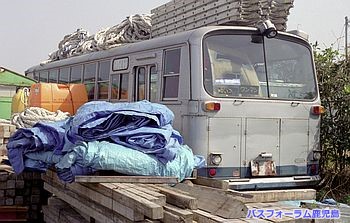 おしゃか後ろ姿