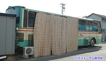 おしゃか後ろ姿