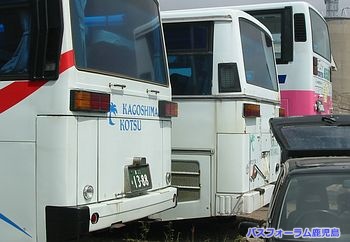 おしゃか後ろ姿