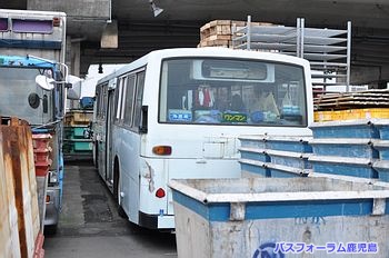 おしゃか後ろ姿