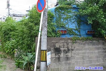 おしゃか後ろ姿